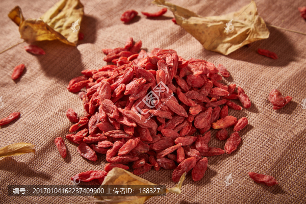 枸杞實景高清圖