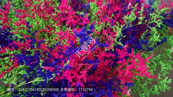 碎花,紫紅花,碎花背景