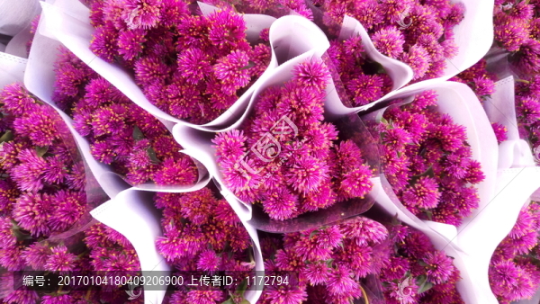 花球,小花球,鮮花,鮮花素材