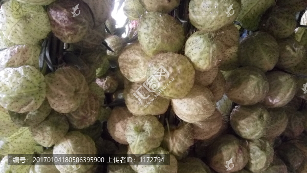 果實,特色農(nóng)業(yè),果實種植,泡泡