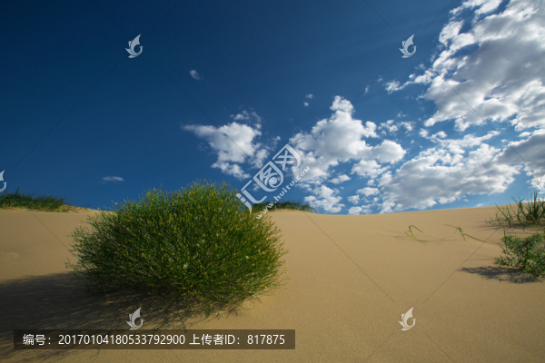 沙漠