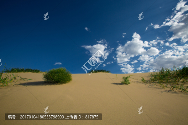 沙漠
