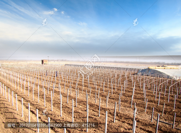 大棚建設(shè)-匯圖網(wǎng) www.fosd68.com 大棚建設(shè)