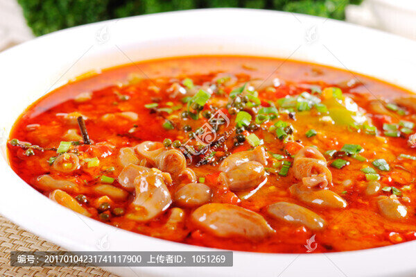 饞嘴鮰魚肚