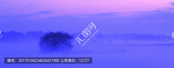 山