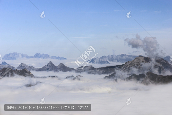 山
