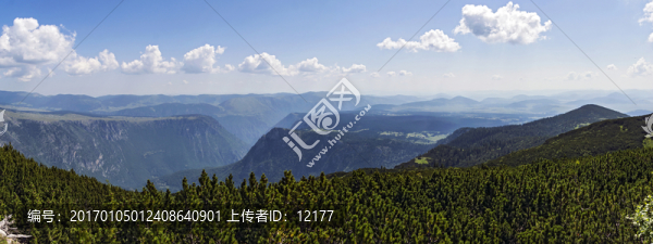 山