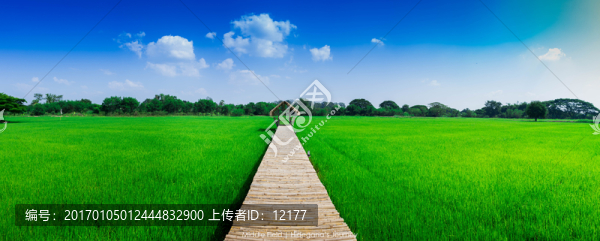 藍天