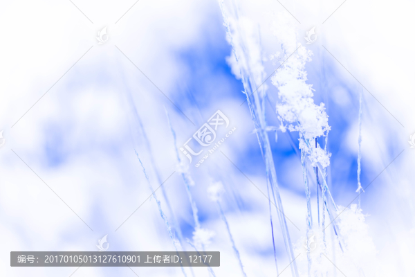 草