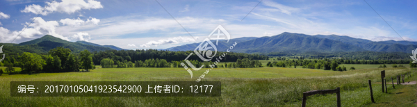 山