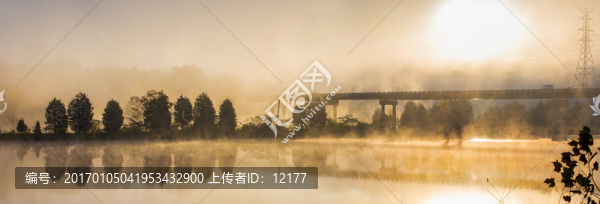 樹林