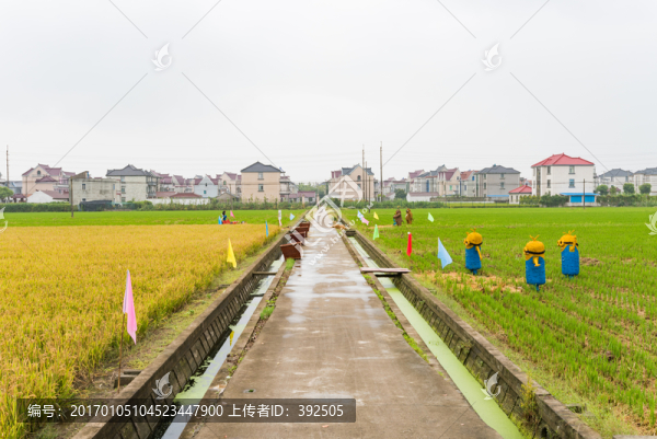 農(nóng)業(yè)旅游
