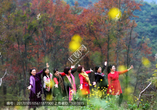 楓葉紅了
