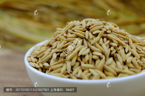 稻谷