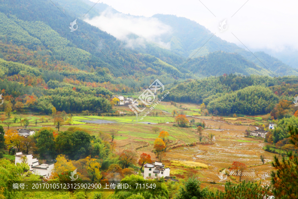 山村田野