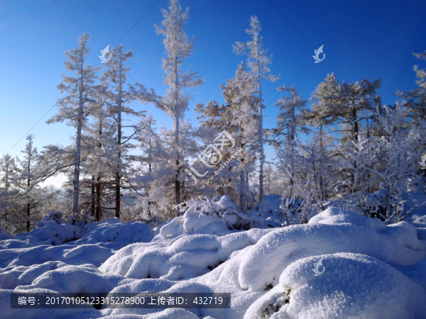 冰雪森林霧淞