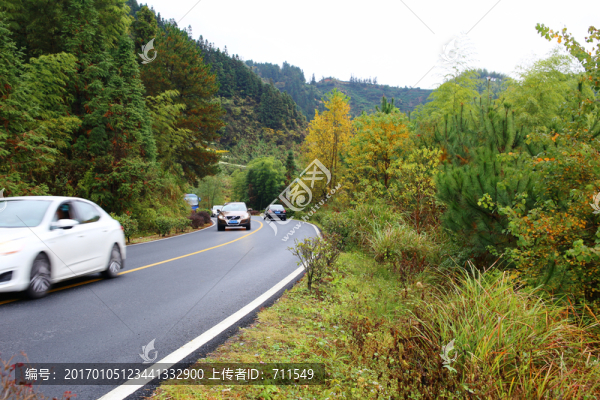 山區(qū)道路車輛