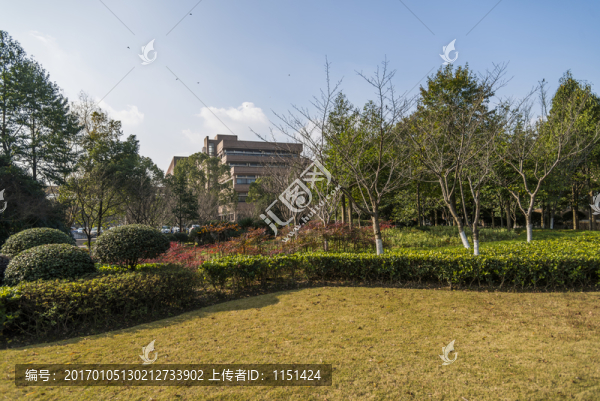 校園