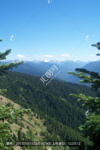太平洋西北部的山脈