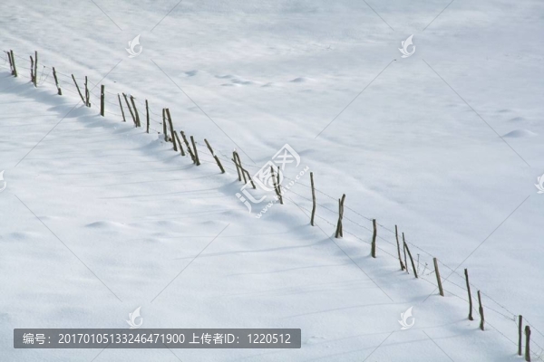 雪中的籬笆