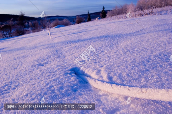 冰凍：雪潛水電纜02