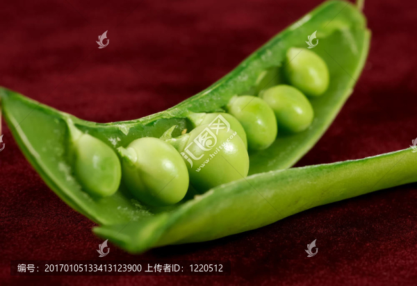 豆莢