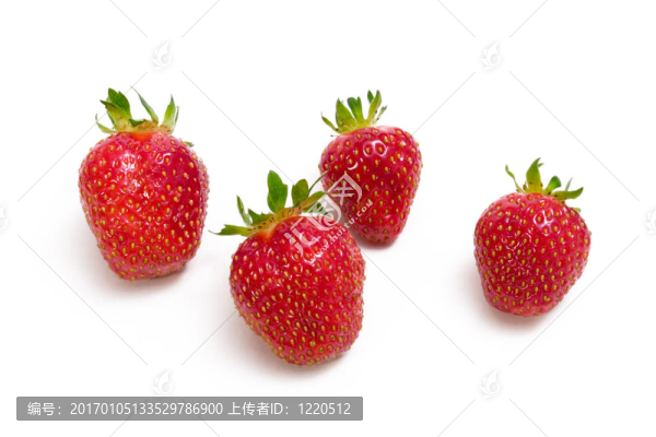 草莓