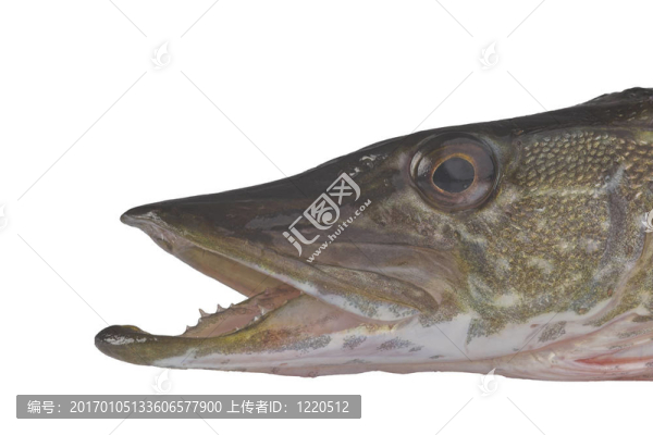 派克