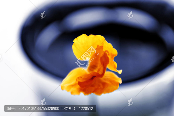 藍色和黃色