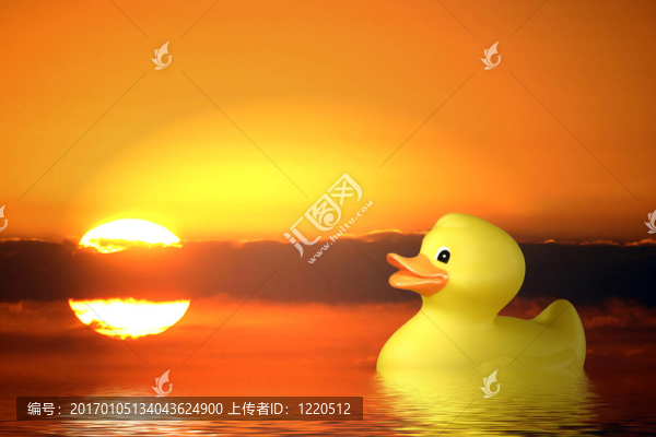 單橡膠鴨在日出游泳池