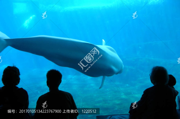 水族館