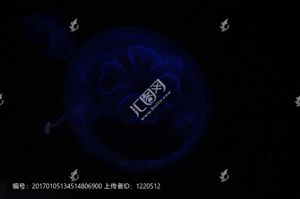 藍(lán)色海洋