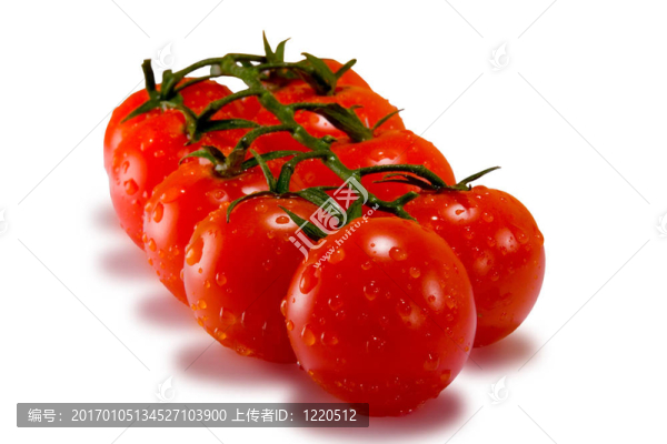 西紅柿