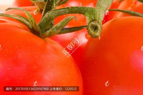 西紅柿