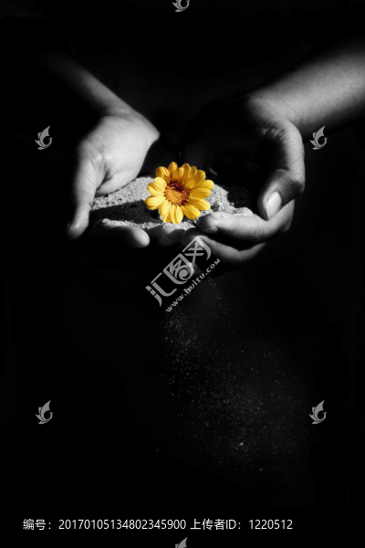 沙和Flower