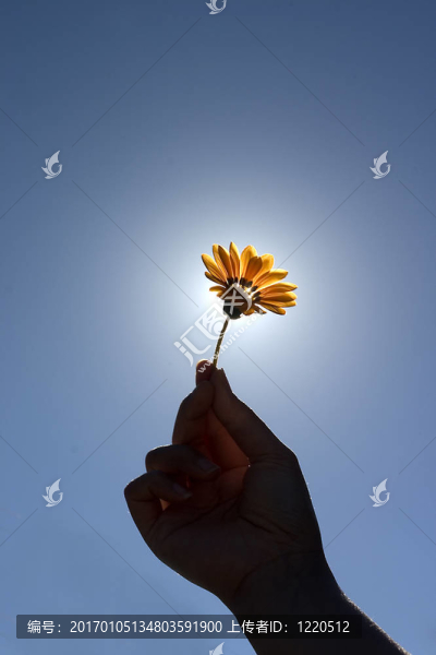 拿著花