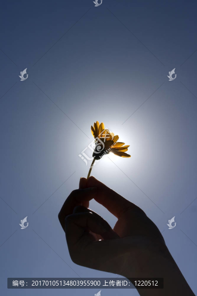 拿著花