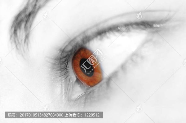 眼睛