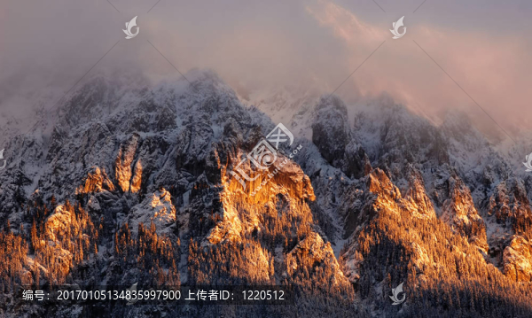 冬季景觀