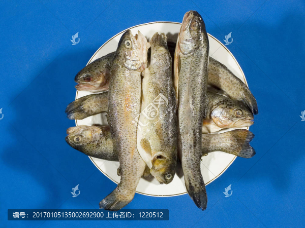魚