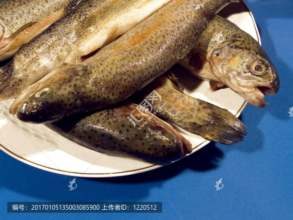 魚
