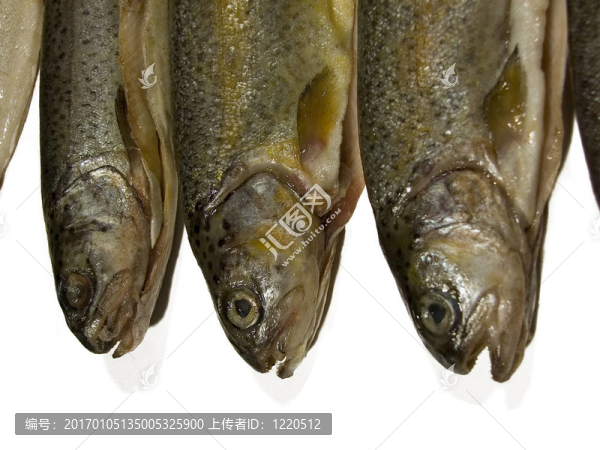 魚(yú)