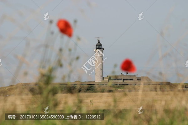 光塔-匯圖網(wǎng) www.fosd68.com 光塔