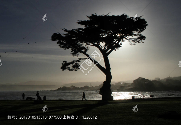dawn02