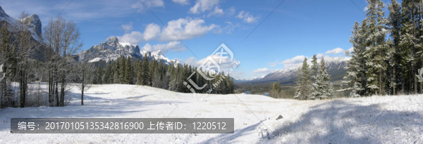 冬天的全景