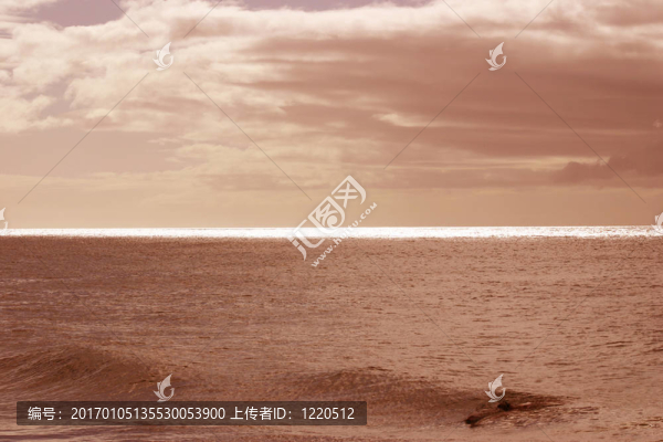 海洋