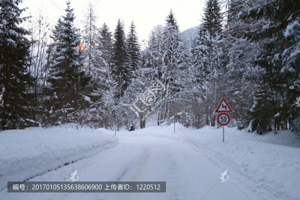 冬天的路