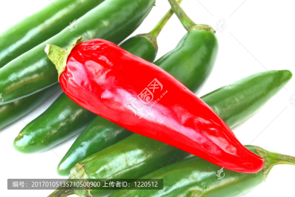 辣椒
