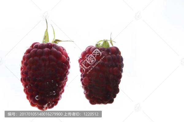 新鮮的漿果