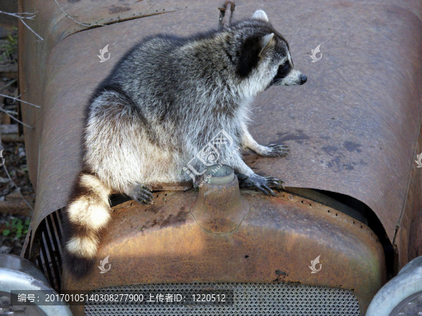 禁止入內(nèi)